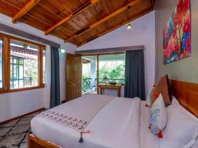 Alpine swift (Wih Balcony)