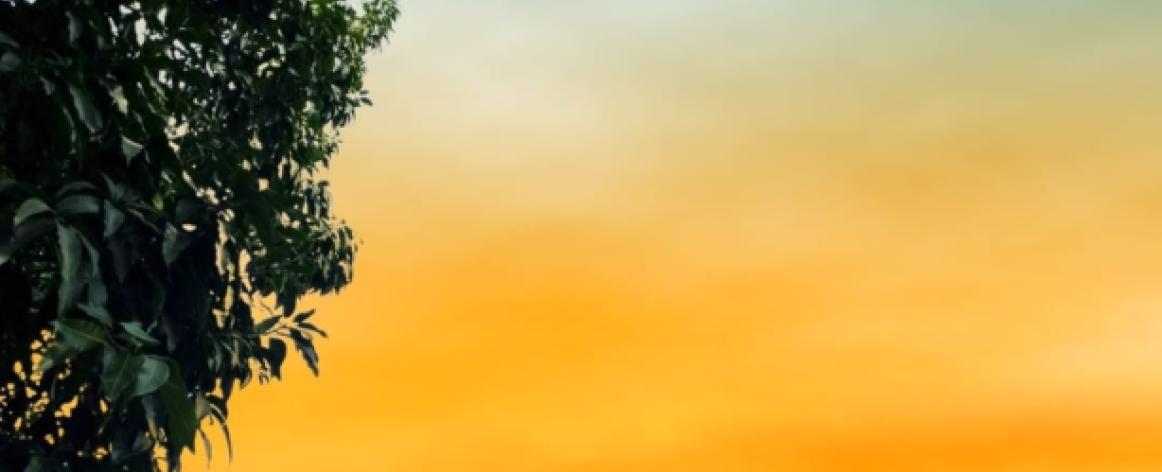 The Hridayesh Spa Wilderness Resort, Hridayesh Resort Jim Corbett