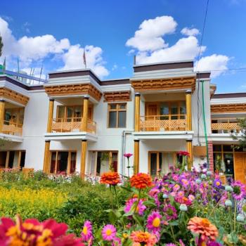 Organic Boutique Hunder