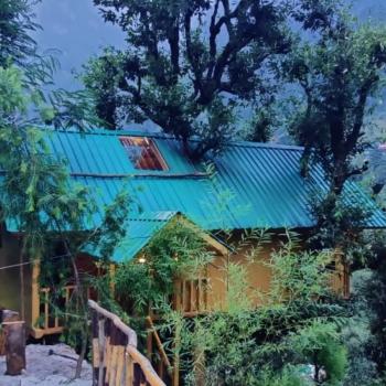 Little Wood Tree House