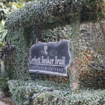 Corbett Tusker Trail Resort