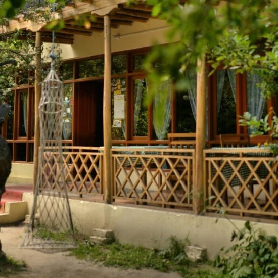 Organic Village Retreat 