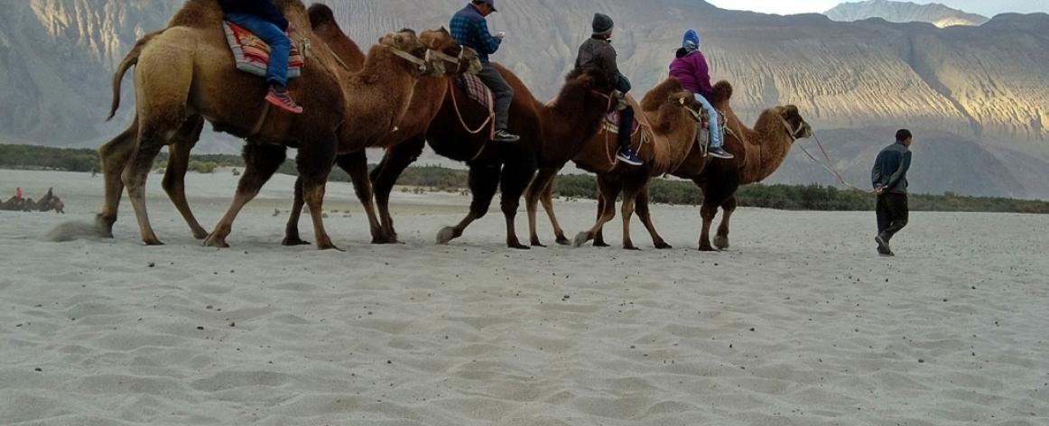 Ladakh 5 nights 6 days tour package, Leh Nubra Pangong tour package