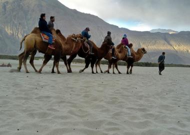 Incredible Ladakh 5 Night 6 Days