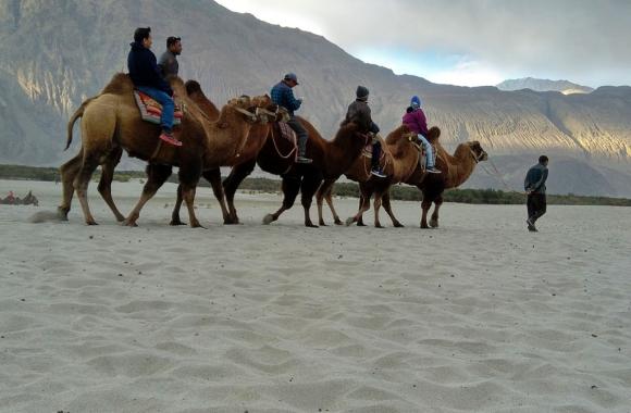 Incredible Ladakh 5 Night 6 Days