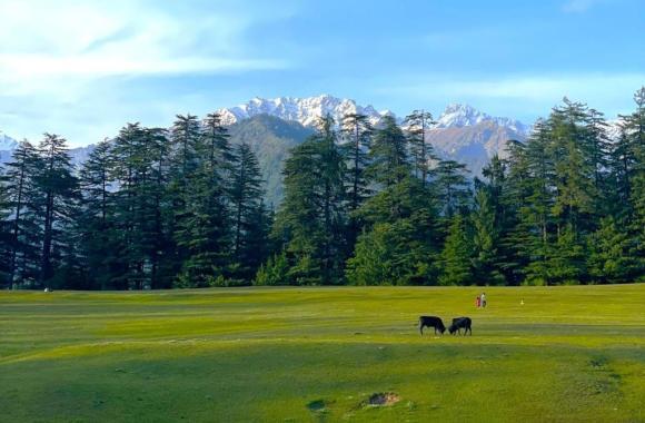 Offbeat Himachal Tour Manali Kasol tosh Jibhi Shimla