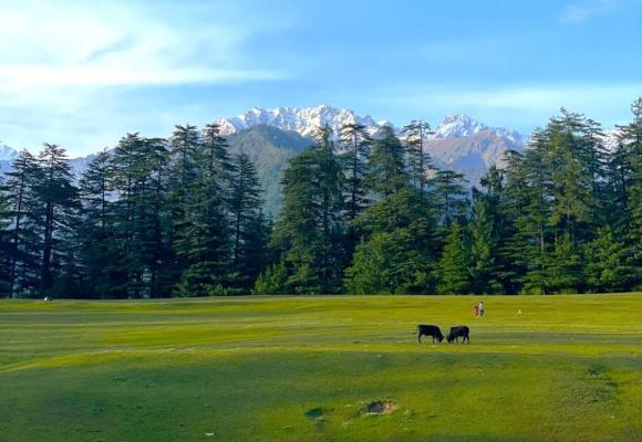Jibhi Shoja Excursion 